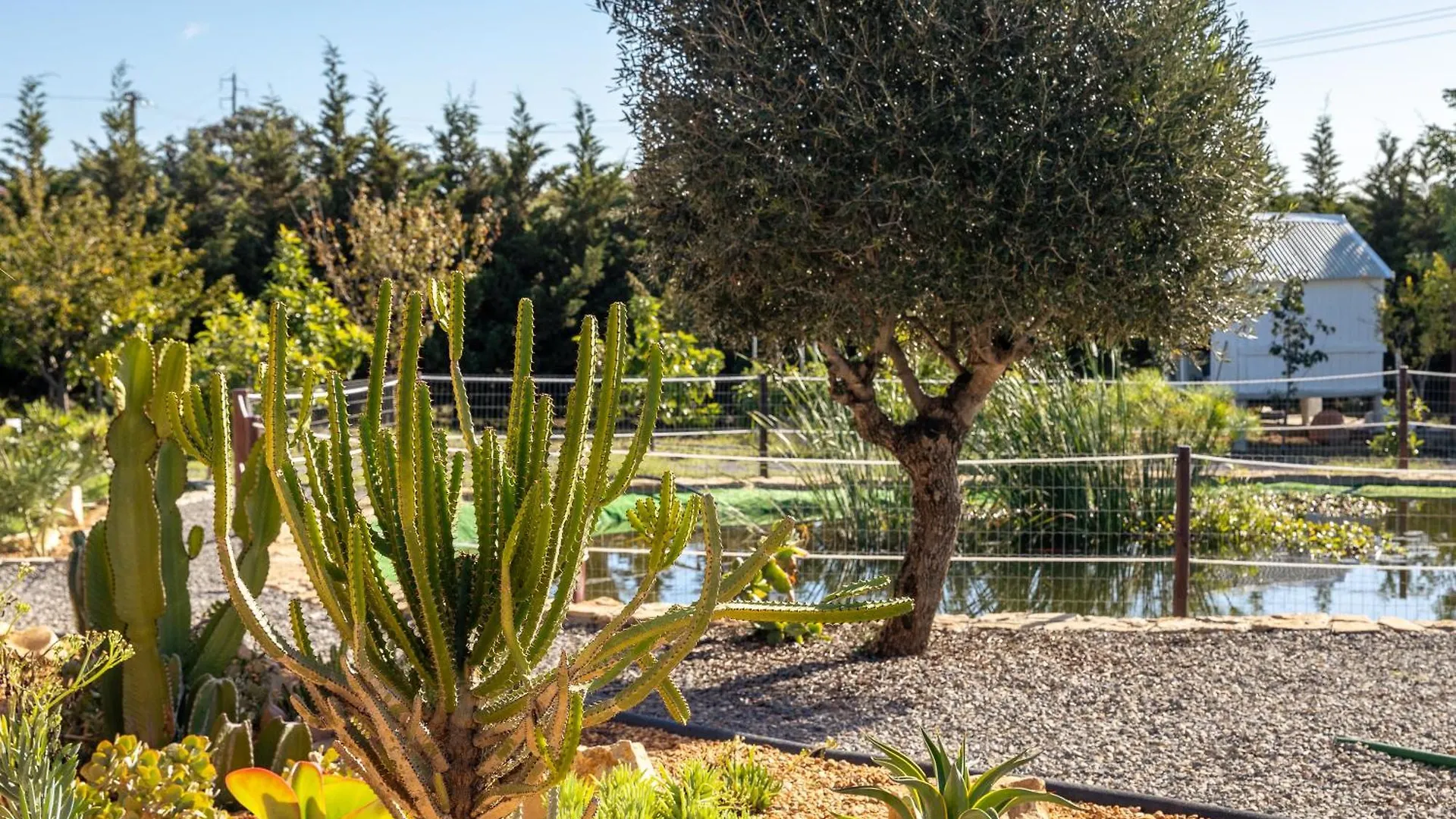 Farm stay Alfarrobeiras Nature Olhao Portugal