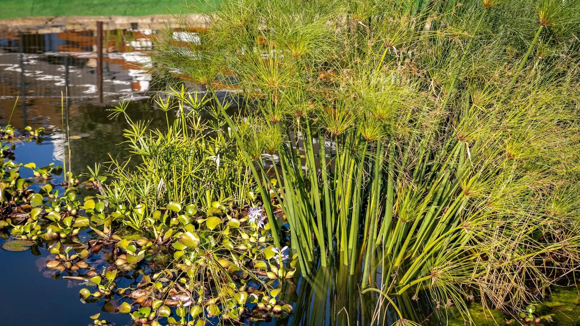 Farma Alfarrobeiras Nature Olhão Portugalsko