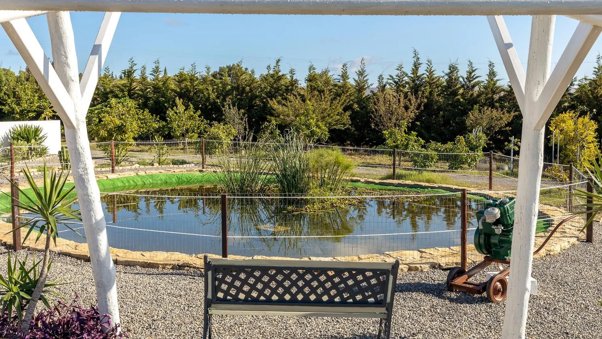 Alfarrobeiras Nature Olhao Portugal